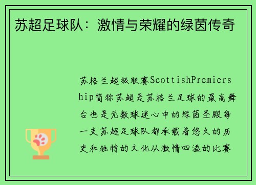 苏超足球队：激情与荣耀的绿茵传奇