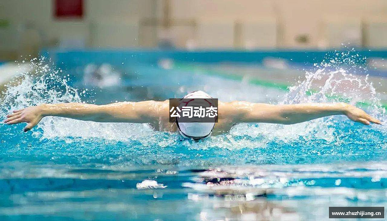 公司动态