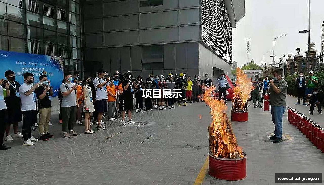 项目展示